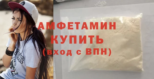 шишки Коряжма