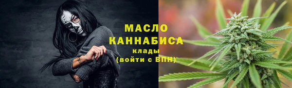 шишки Коряжма