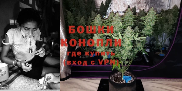 шишки Коряжма