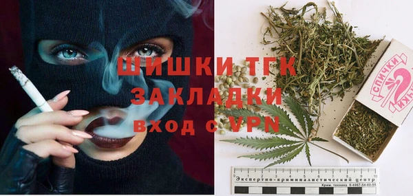 шишки Коряжма