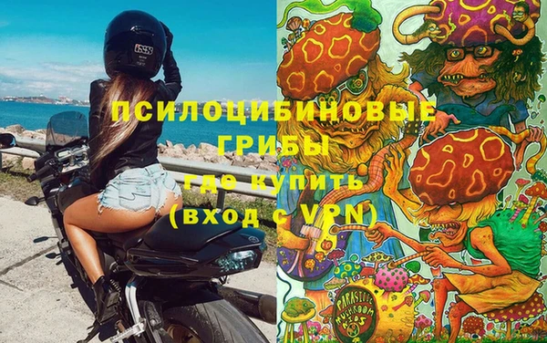 СК Кукмор