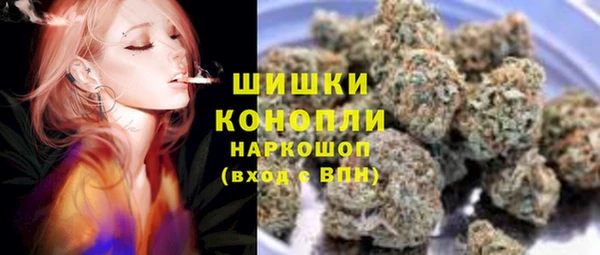 шишки Коряжма