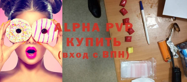 шишки Коряжма