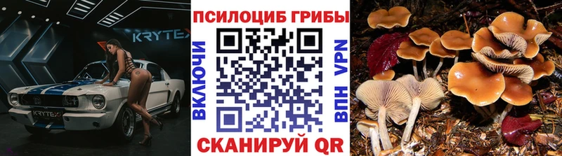 Галлюциногенные грибы ЛСД  Крымск 