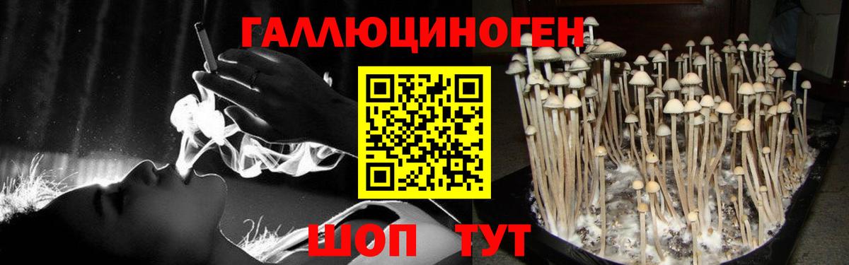 Псилоцибиновые грибы Cubensis  Вход с VPN  Крымск 