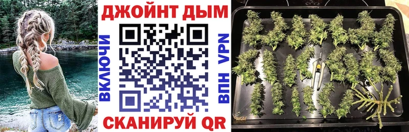 kraken зеркало  наркошоп  Крымск  МАРИХУАНА сатива 